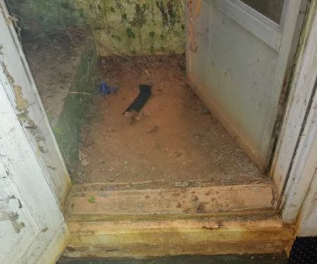 All Good Waterproofing and Foundation Repair