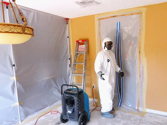 Mikro Mold Testing Picture 3