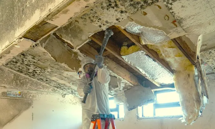 Mikro Mold Testing Picture 2