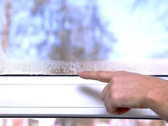 Mikro Mold Testing Picture 5