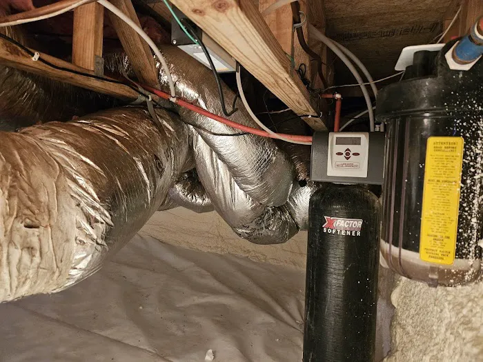 Crawl Space Brothers Picture 6