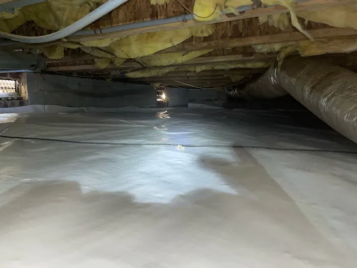 Crawl Space Brothers Picture 5