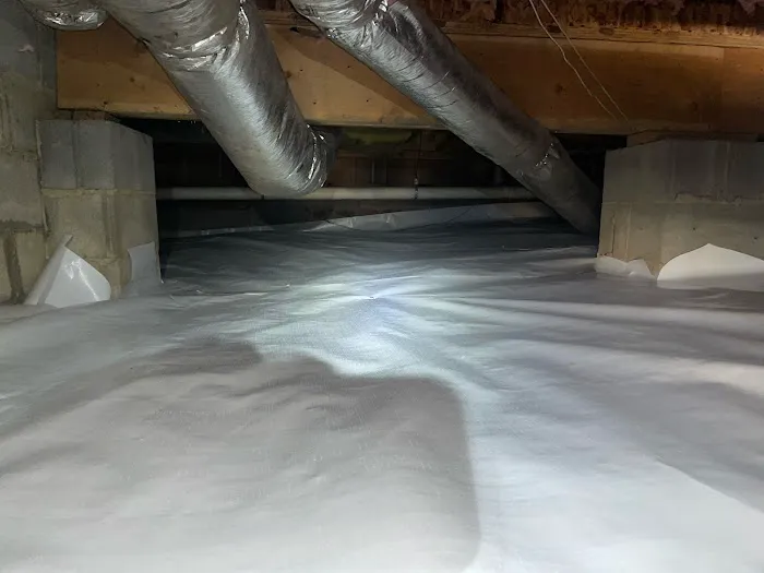 Crawl Space Brothers Picture 8