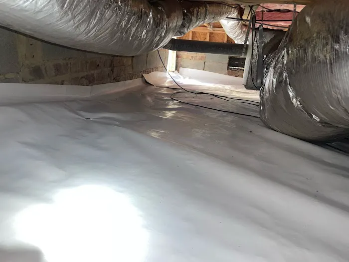 Crawl Space Brothers Picture 10