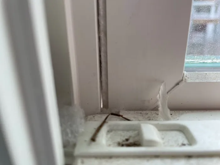 Southern Restoration & Construction Picture 8