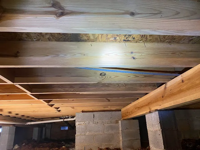 The Mold Girl - A Charlotte Mold Testing and Inspection Company Picture 2