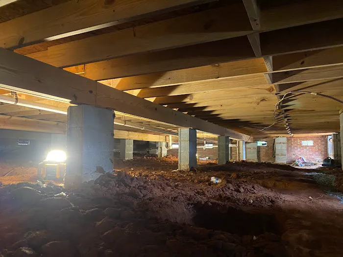 The Mold Girl - A Charlotte Mold Testing and Inspection Company Picture 5