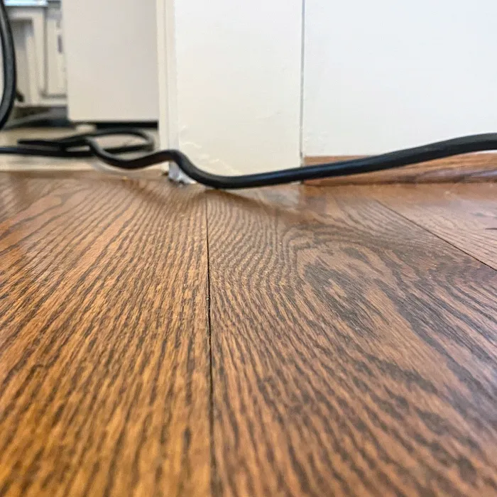 The Mold Girl - A Charlotte Mold Testing and Inspection Company Picture 6