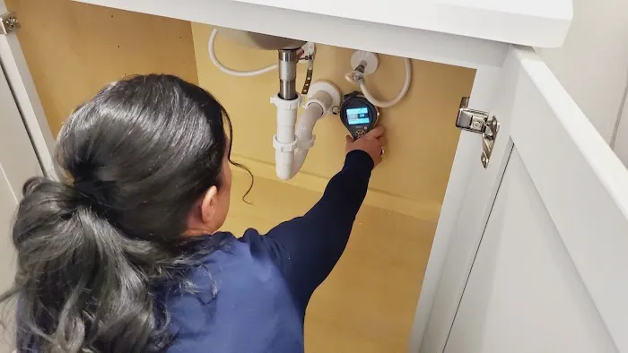 The Mold Girl - A Charlotte Mold Testing and Inspection Company Picture 10