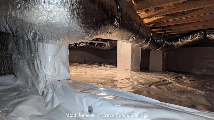 Crawl Space Ninja of Charlotte Picture 5