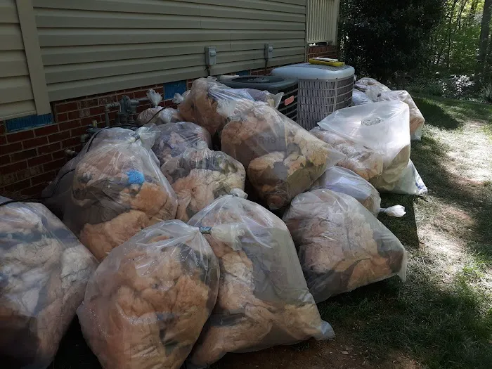 AdvantaClean of The Piedmont Picture 4