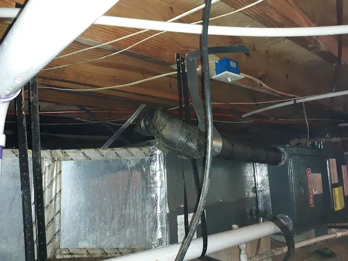 AdvantaClean of The Piedmont Picture 8