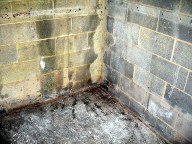 JES Foundation Repair Picture 10