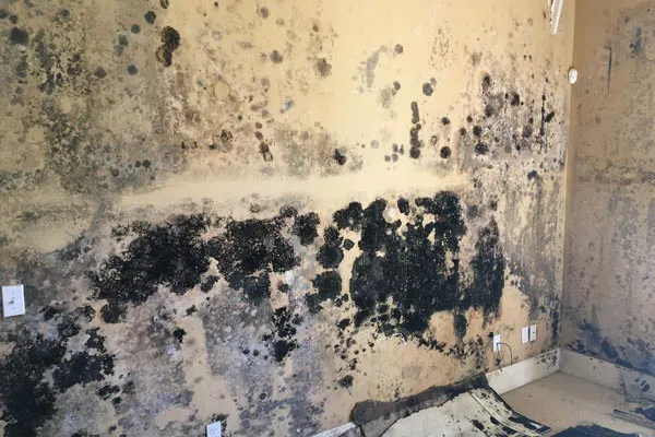 Kidd's Restoration & Cleaning Services of Roanoke VA Picture 7