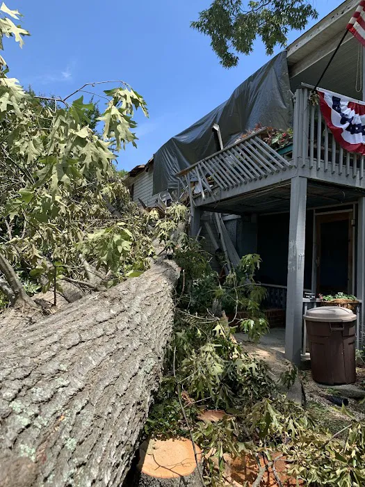 Broadstone Restoration Picture 1