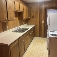 SaniBrothers North Carolina ico