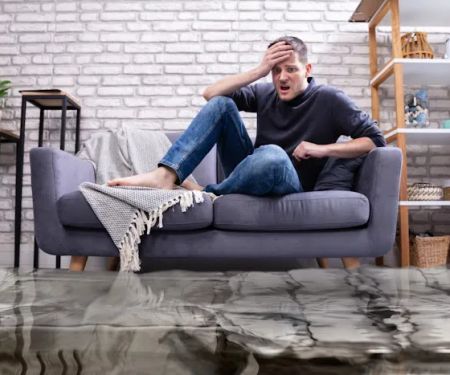 Greensboro Mold Remediation Inc