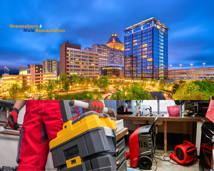 Greensboro Mold Remediation Inc Picture 5