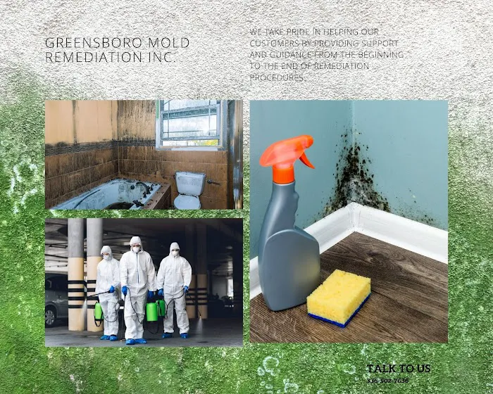 Greensboro Mold Remediation Inc Picture 10