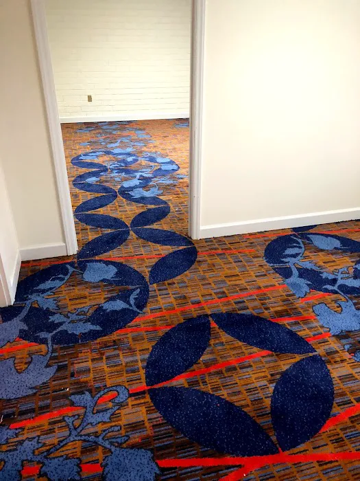 mega steam carpet cleaning Picture 4