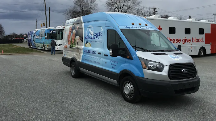 mega steam carpet cleaning Picture 3