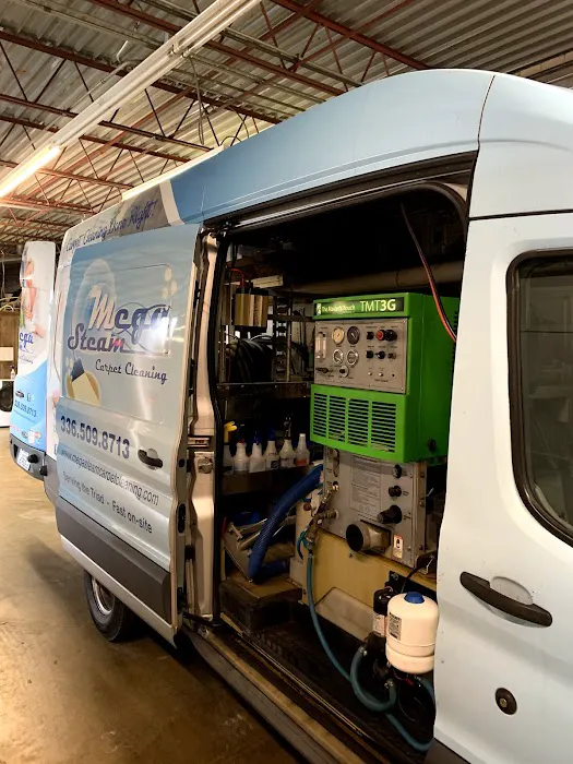 mega steam carpet cleaning Picture 1