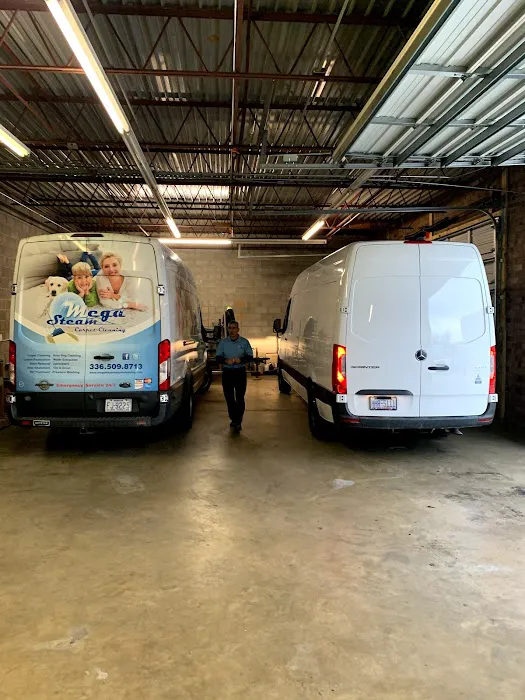 mega steam carpet cleaning Picture 7