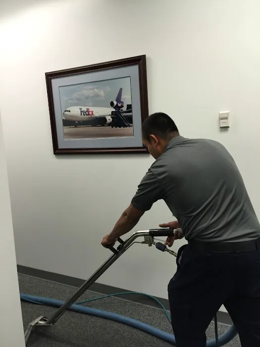 mega steam carpet cleaning Picture 10