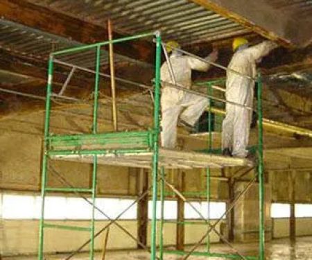 Demolition & Asbestos Removal Inc. (DARI)