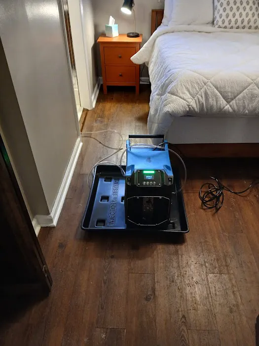 RestoPros of The Triad Picture 6