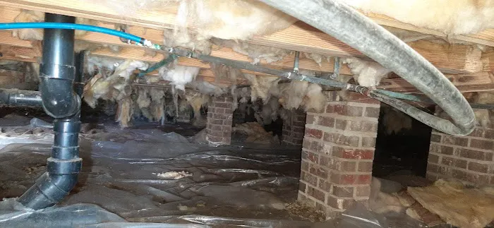 HealthyCrawl Space Picture 3