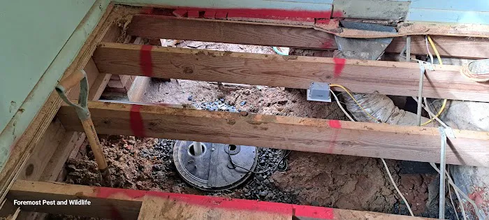 HealthyCrawl Space Picture 5