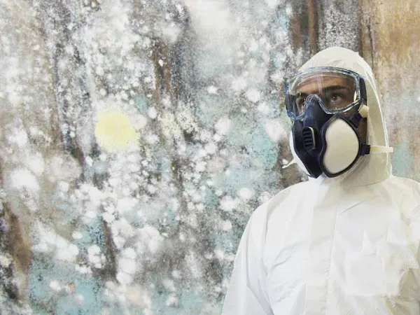 First Response Fire & Water Picture 5