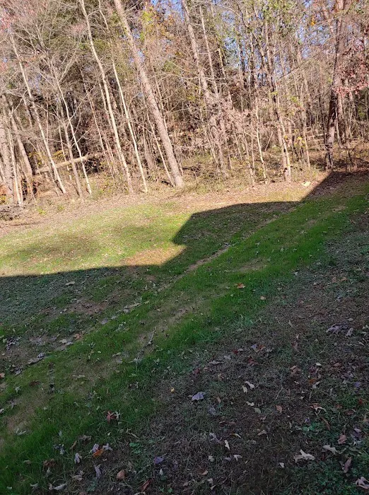 Structural Repair of the Triad Picture 4