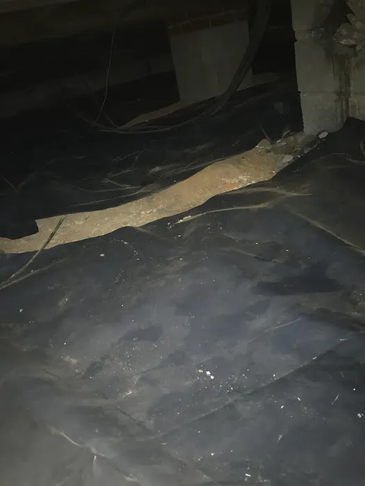 Structural Repair of the Triad Picture 7