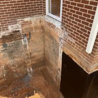 Red Fern Services of NC, Inc. ico