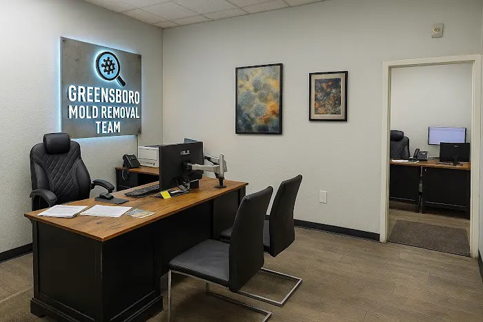 Greensboro Mold Removal Team Picture 1