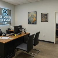 Greensboro Mold Removal Team ico