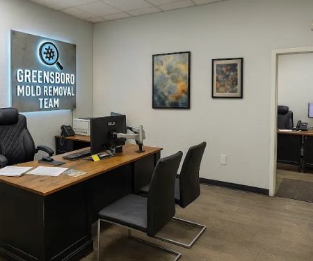 Greensboro Mold Removal Team