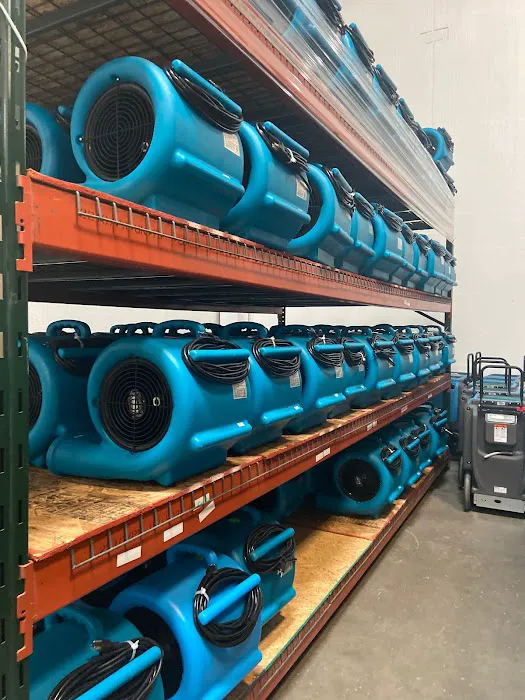 Sasser Restoration Picture 8