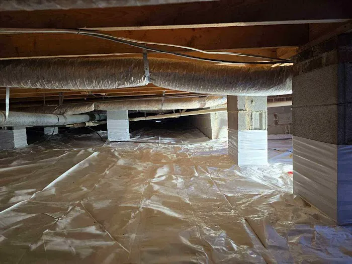 Mold Patrol Picture 1