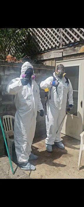 Mold Patrol Picture 5