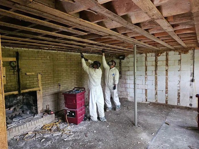 Mold Patrol Picture 3