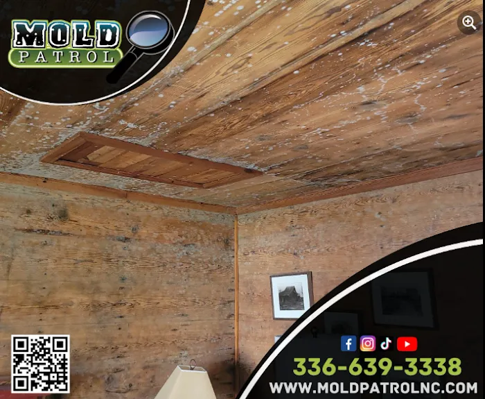 Mold Patrol Picture 8