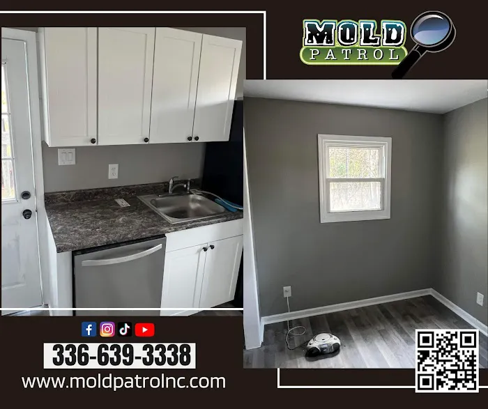 Mold Patrol Picture 7