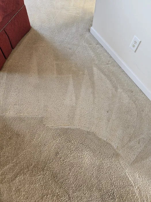 Carolina Steam Picture 2