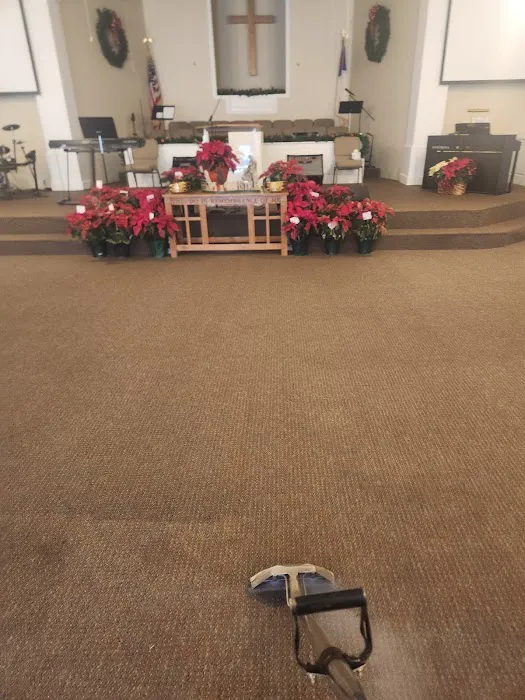 Carolina Steam Picture 5