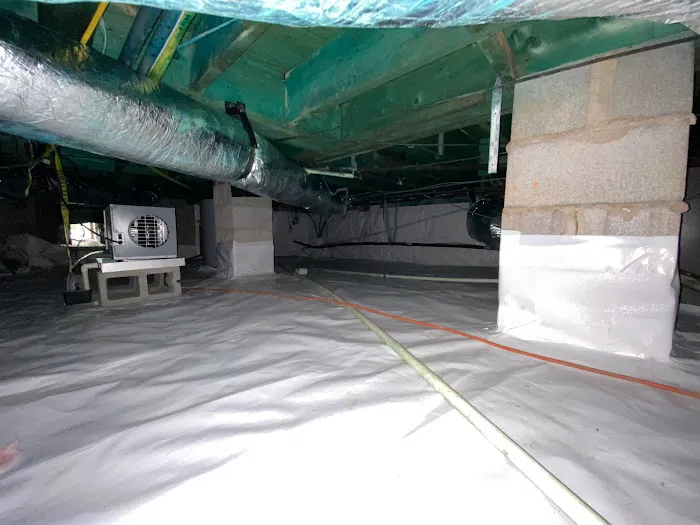 Bioclean Restoration - Burlington Picture 7