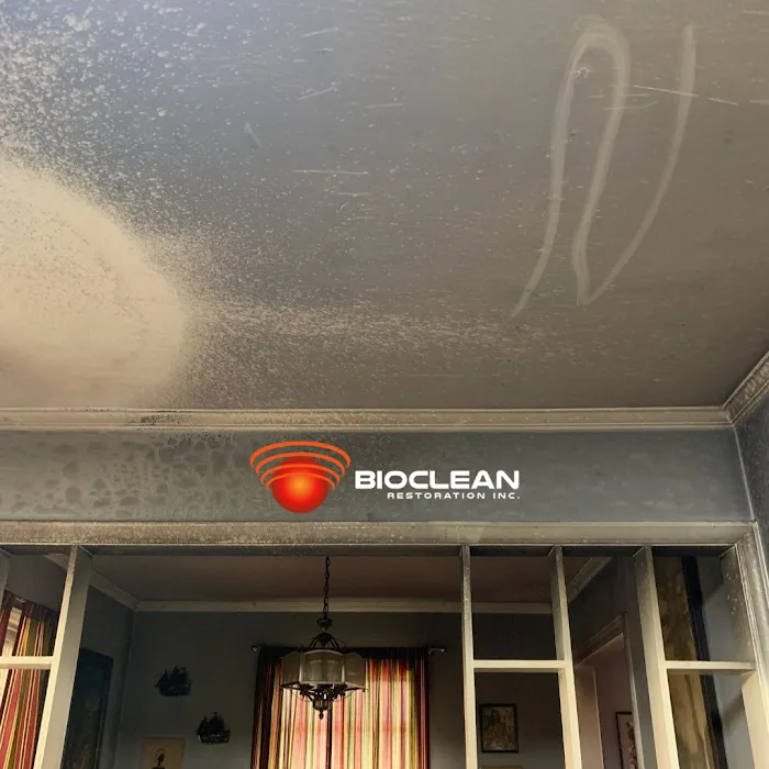 Bioclean Restoration - Burlington Picture 10