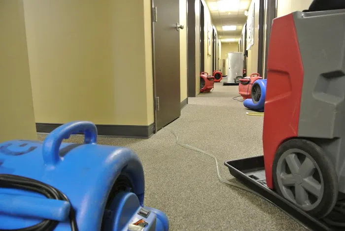 First Call Cleaning & Restoration, Inc Picture 2